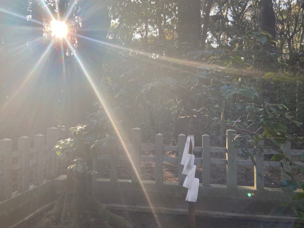 神社で照らす光