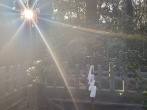 神社で照らす光